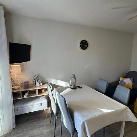 Apartment Confortable T2 Au Cap D'agde Avec Wifi Et Parking, Animaux Acceptes - Fr-1-749-103 Agde