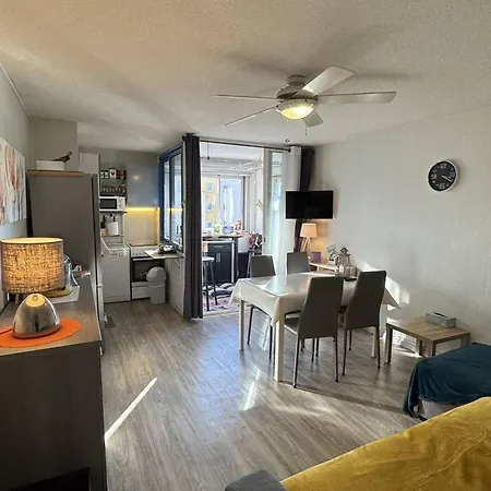 Confortable T2 Au Cap D'agde Avec Wifi Et Parking, Animaux Acceptes - Fr-1-749-103 *